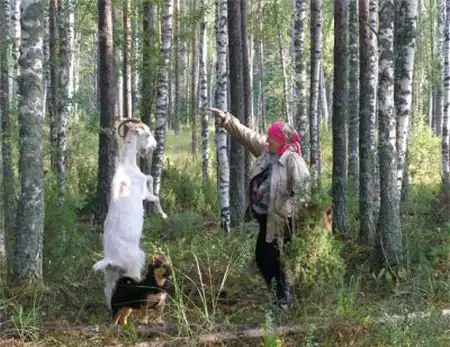 Позитивная фотоподборка