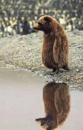 Подборка забавных картинок 2