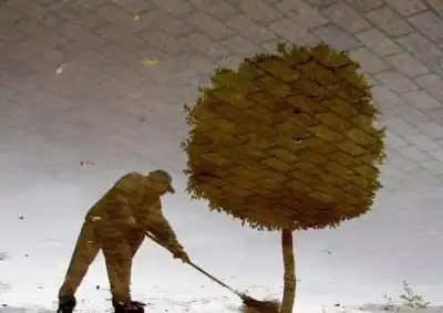 Прикольная фотоподборка