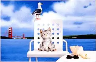 Котейки от Makoto Muramatsu