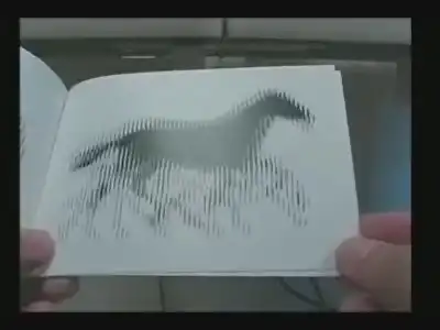 Оптическая иллюзия