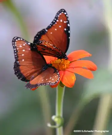 красиво же))))