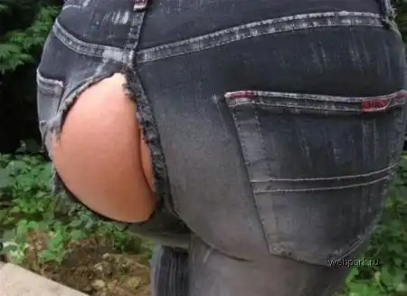 Модная одежда