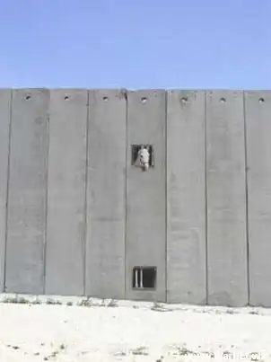 Удивительнейшие работы Бэнкси (40 фото)