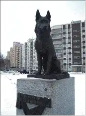 Памятник собаке