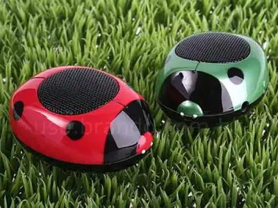 Такие разные божьи коровки