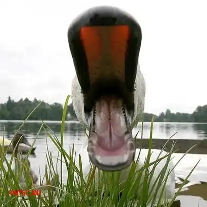 Подборка без темы