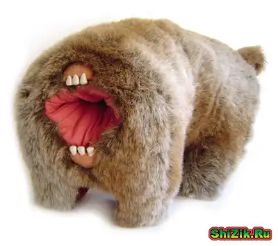 Что за зверь?