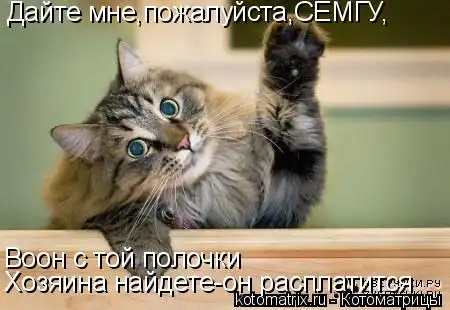 Котоматрицы 2