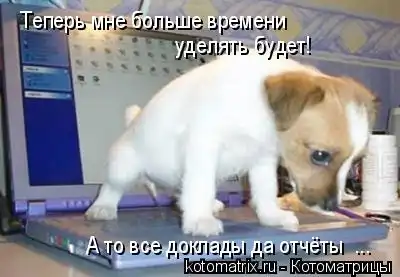 Котоматрицы 3