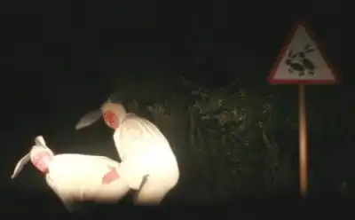 Подборочка(;