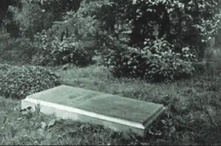 Классификация приведений