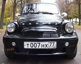 Укрощение Багиры и Создание «Багиры»