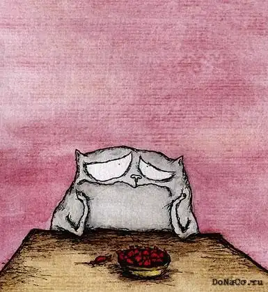 Прикольные кошаки))