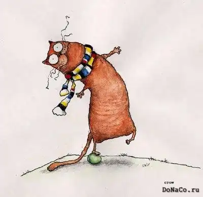 Прикольные кошаки))