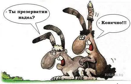 Hазные картинки