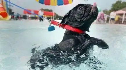 Свежая, летняя House музыка