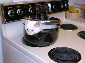 Что происходит когда вас нет дома?