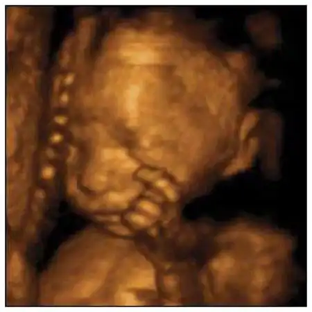 Как живет ребенок до своего появления на свет