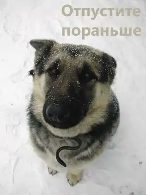 Про пятницу (17 фото)