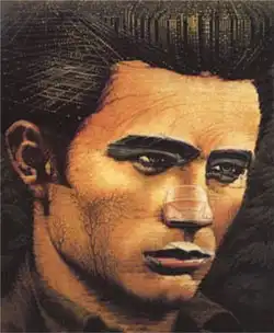 Двойственные изображения