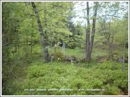 Как создаются фотографии привидений?