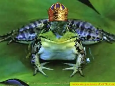 Подборка живности