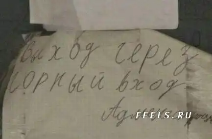 Прикольные картинки