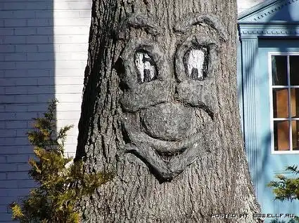 Зловещие деревья