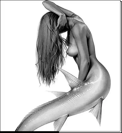 совсем немного черно-белого