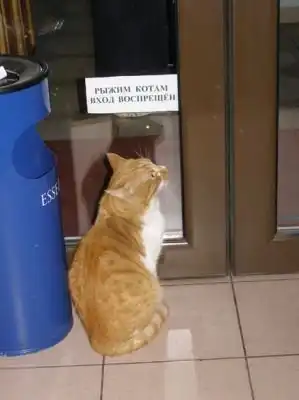 подборочка))