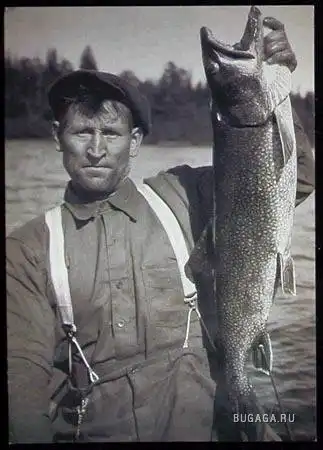 Поговорим о рыбалке