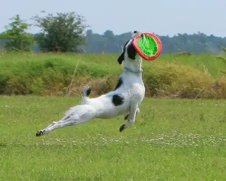 Мнгновения (23 фото)