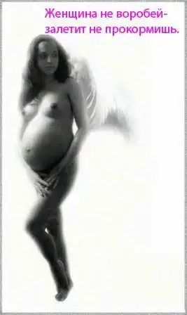 Веселая фотоподборка с занимательными надписями