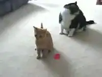 Так и голова отвалится