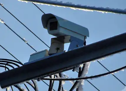 15 дней отслеживания