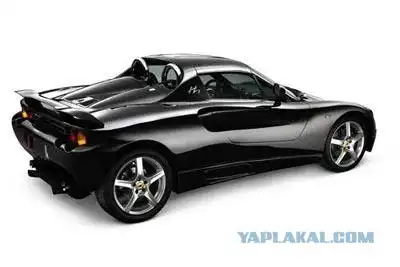 Маленький бразильский волк