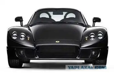 Маленький бразильский волк