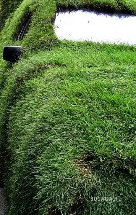 Авто покрытые травой