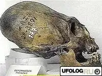 Мутации фараона Эхнатона