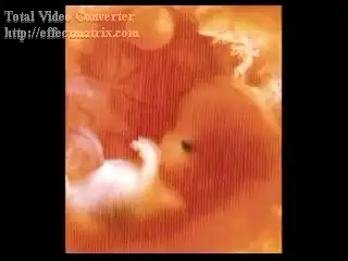 Зарождение жизни или «Мама, как я появился на свет?»