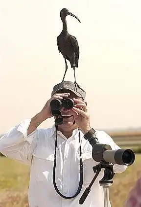 Фото о фото