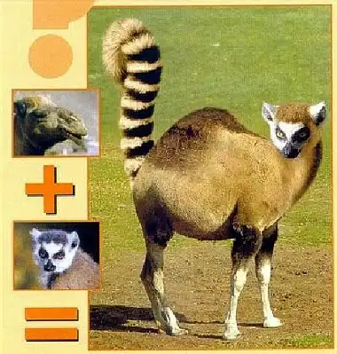 простая арифметика