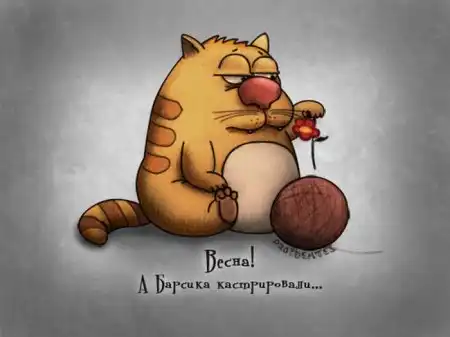 подборка юмора