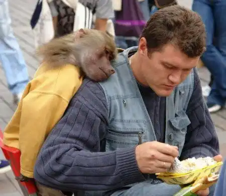 Люди и звери)))