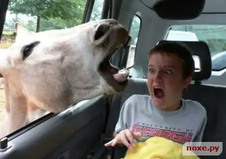 Подборка анеков на 17 августа