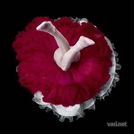 Ах эти ножки, ножки!!!!!!!!!!!!!!!!!!!!