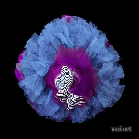 Ах эти ножки, ножки!!!!!!!!!!!!!!!!!!!!