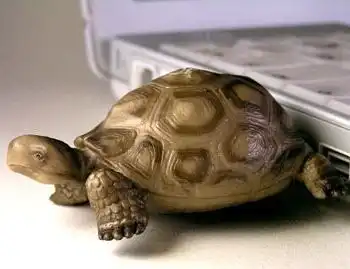 На любой вкус!!!!!!!!!!!!!!!!!!!