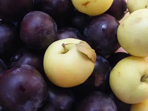 Лето скоро закончится :(